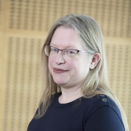 Professor Julie Sanders, Newcastle University.Photo: John Millard