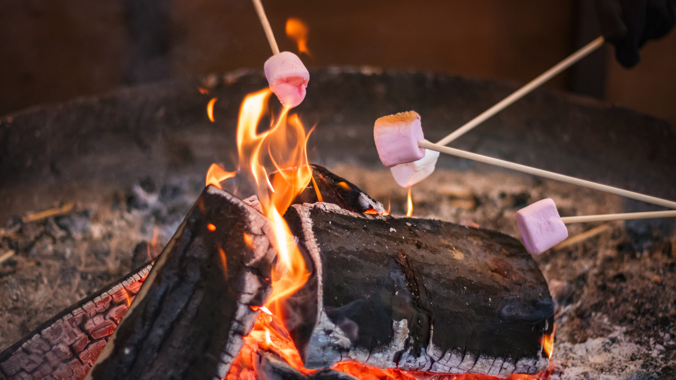 Marshmallows for toasting Wonkhe