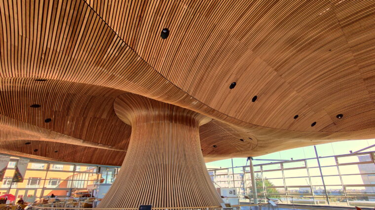 Wonkhe-Wales-Parliament-Roof