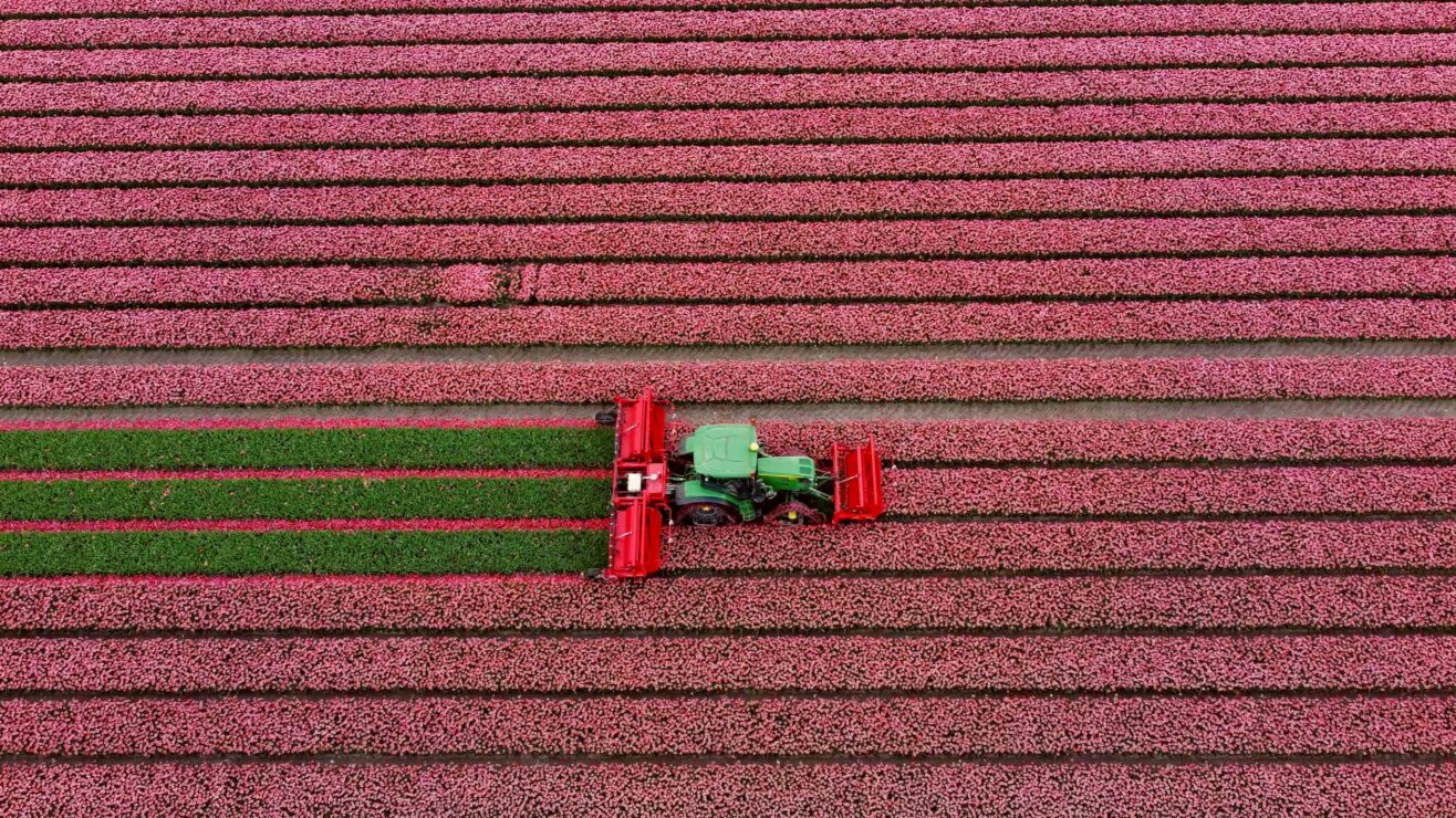 Wonkhe-Hesa-Spring-Farm