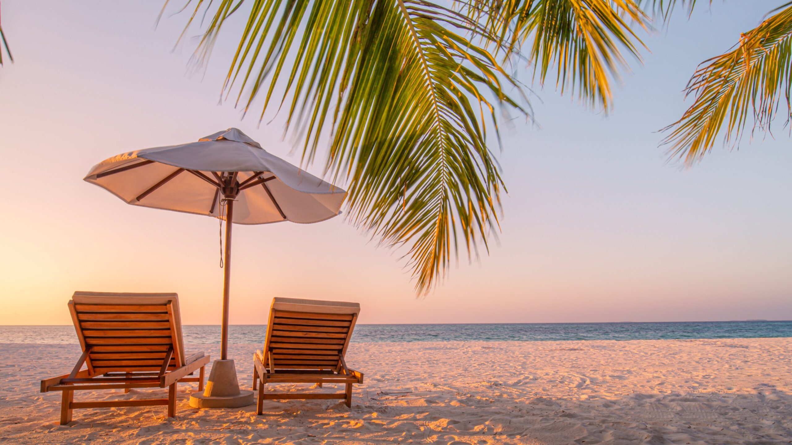 What we learned on your summer holidays | Wonkhe