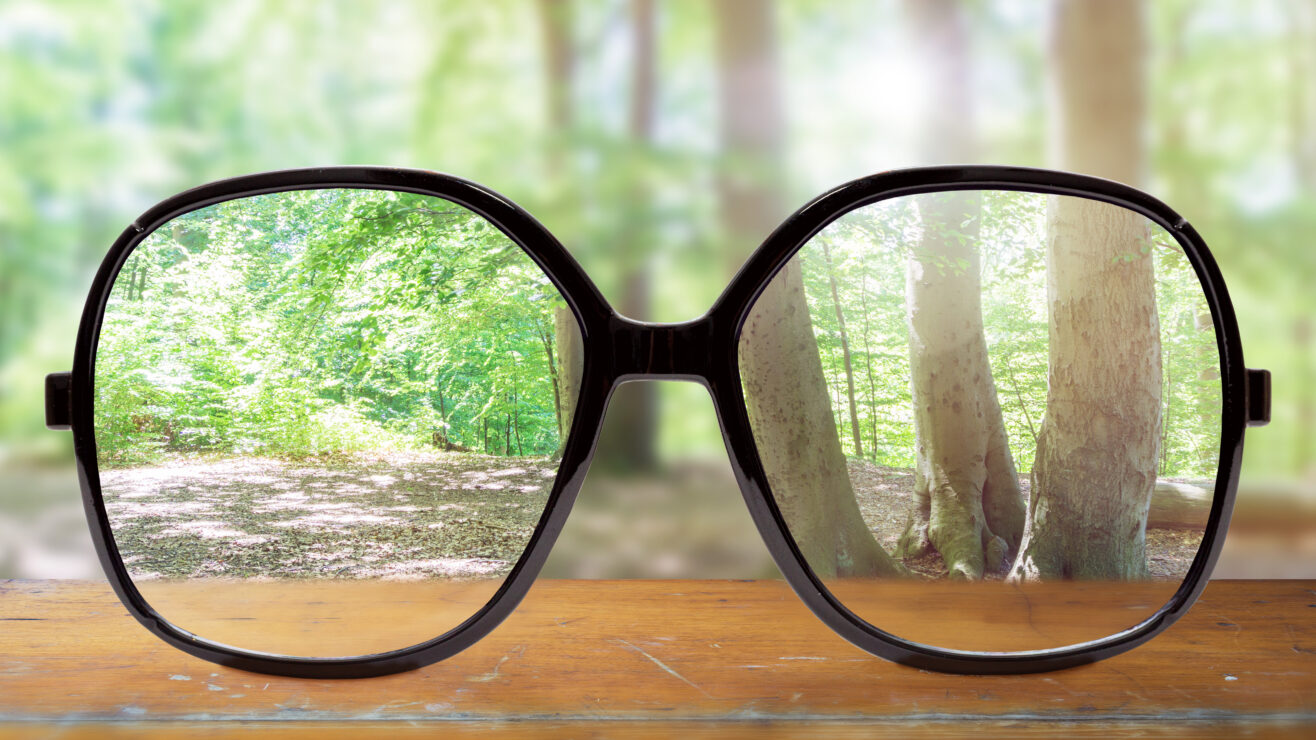 Modern,Glasses,On,Wooden,Table,Against,Beautiful,Forest,Landscape