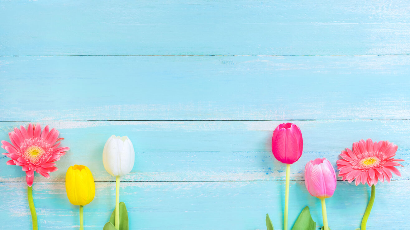 Different,Kinds,Of,Colorful,Flowers,In,Line,On,Blue,Wooden