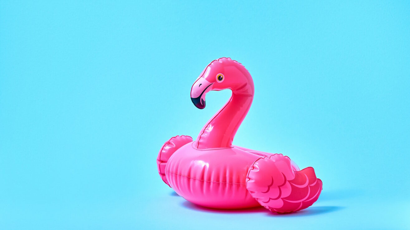 wonkhe-inflatable-flamingo