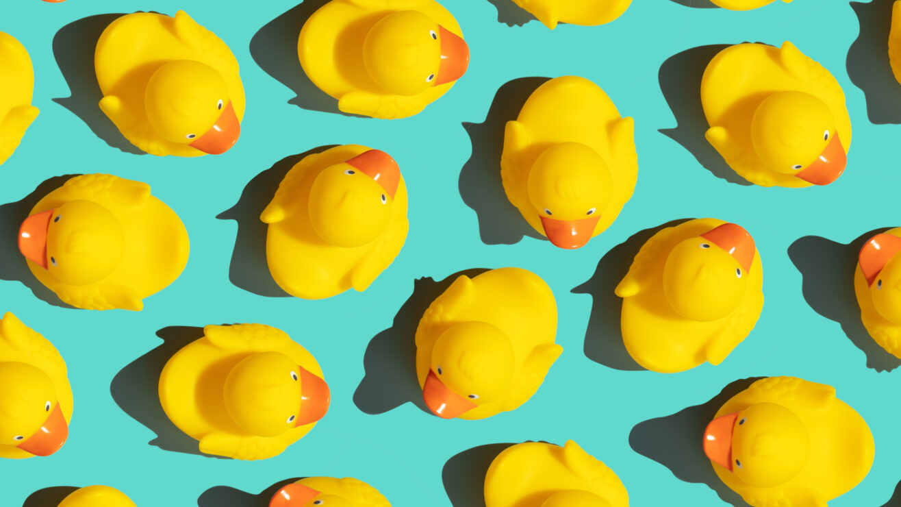 wonkhe-ducks-not-in-a-row