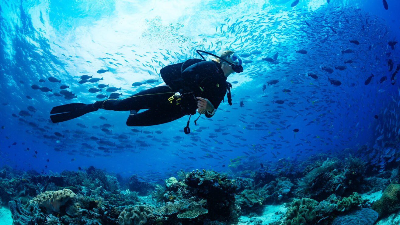 Girl,Scuba,Diver,Diving,On,Tropical,Reef,With,Blue,Background