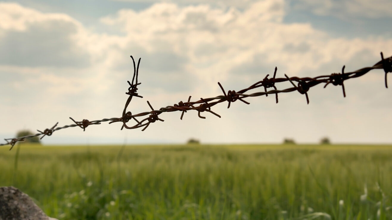 Rusty,Twisted,Barbed,Wire,Bars,Entrance,To,The,Green,Field