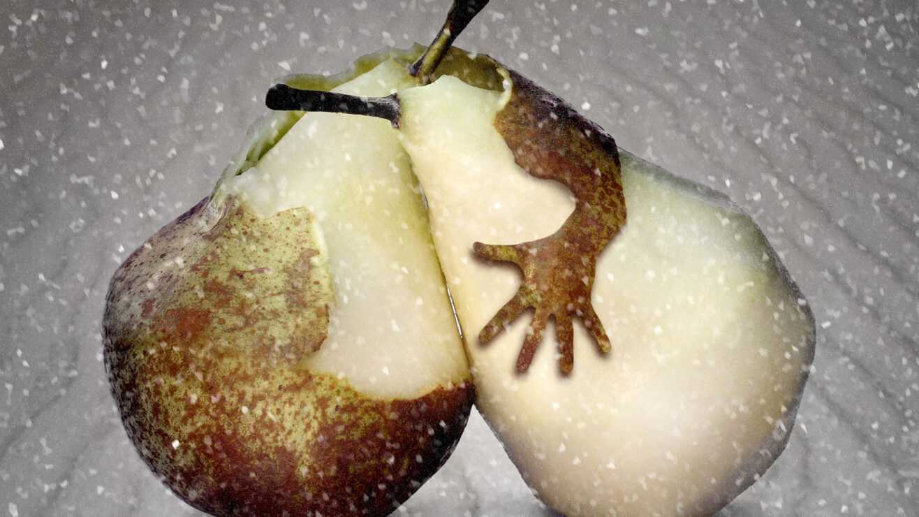 Love,In,Winter
