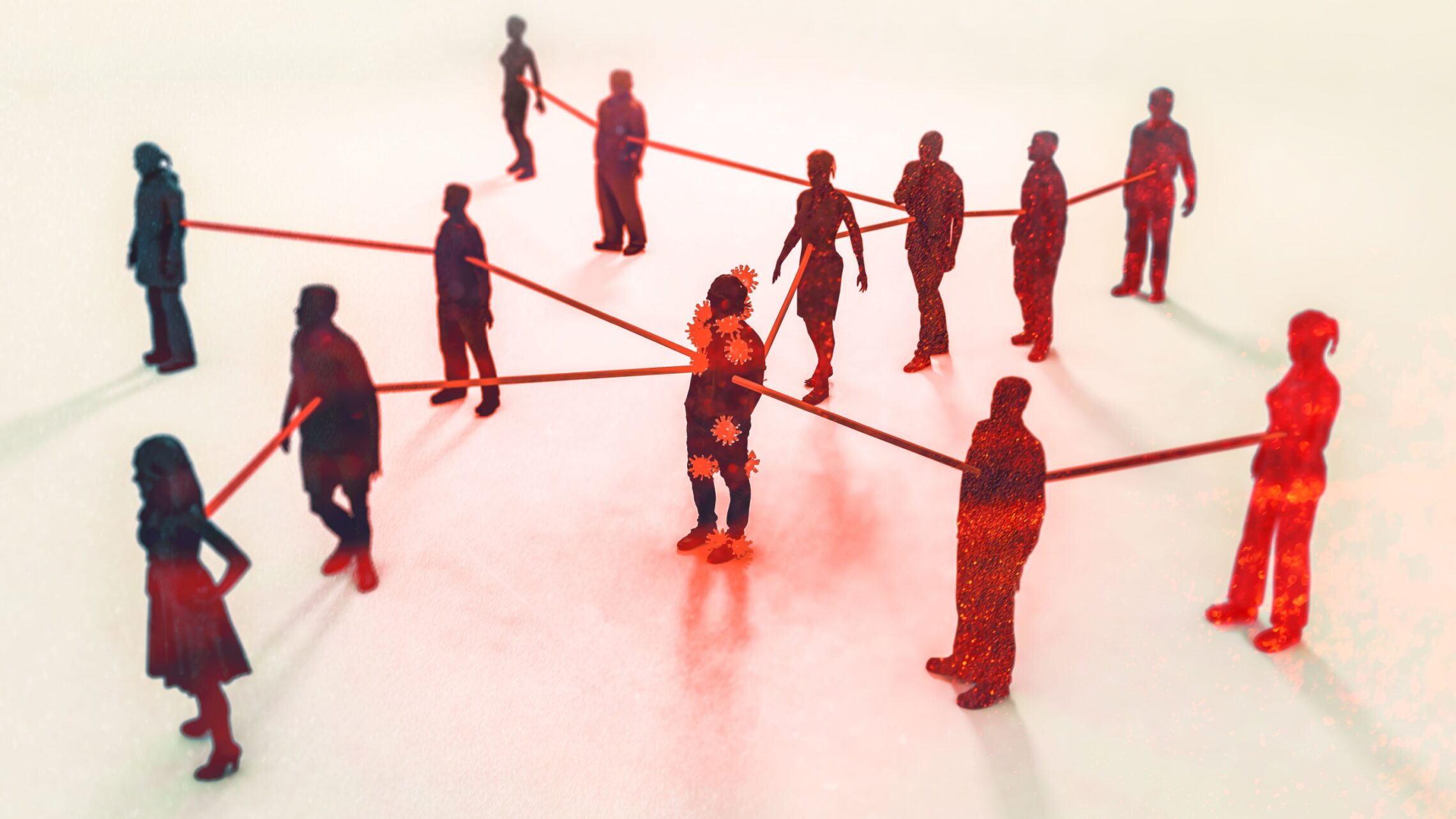 The network effects of a university collapse