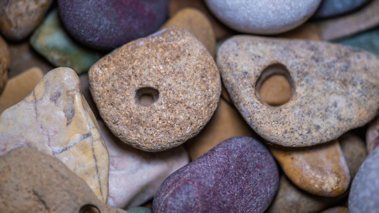 Shutterstock_2252847289