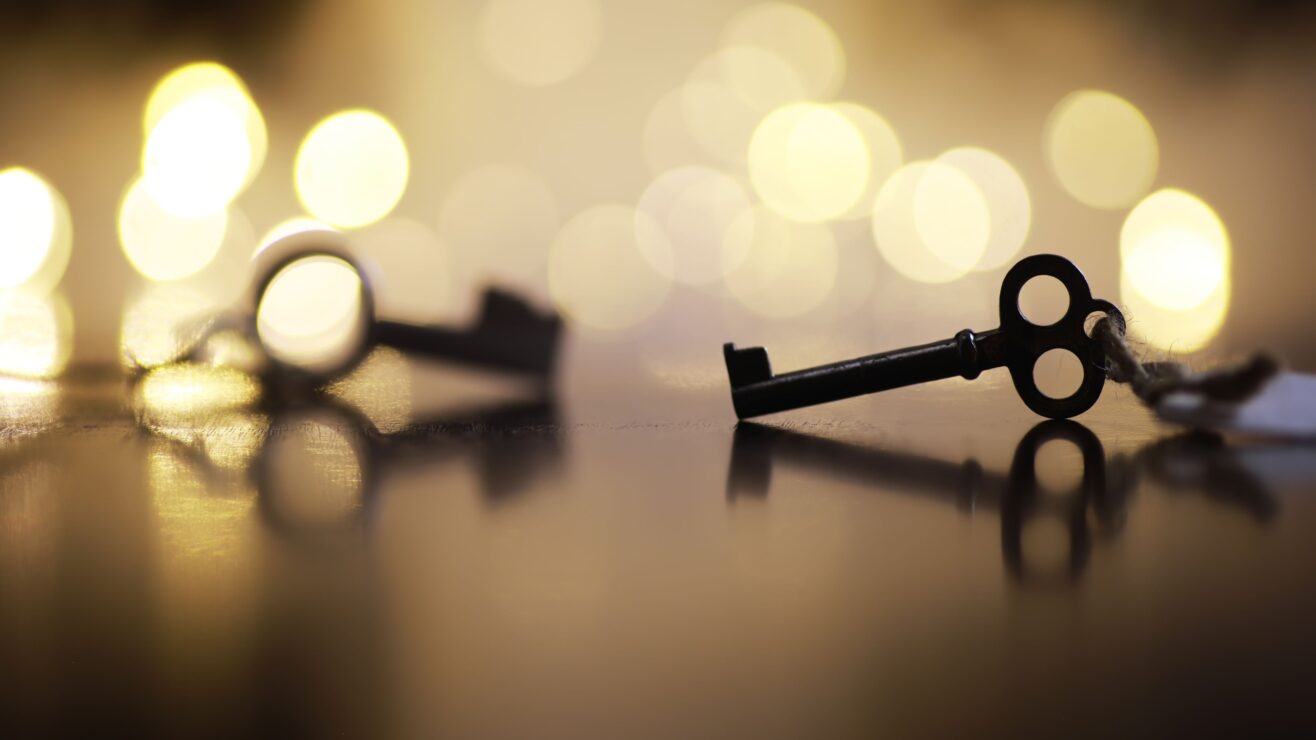 Shutterstock_2636302717