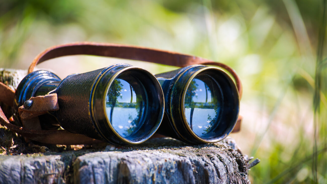 Close-up,Of,Vintage,Binoculars,With,A,Leather,Strap,Resting,On