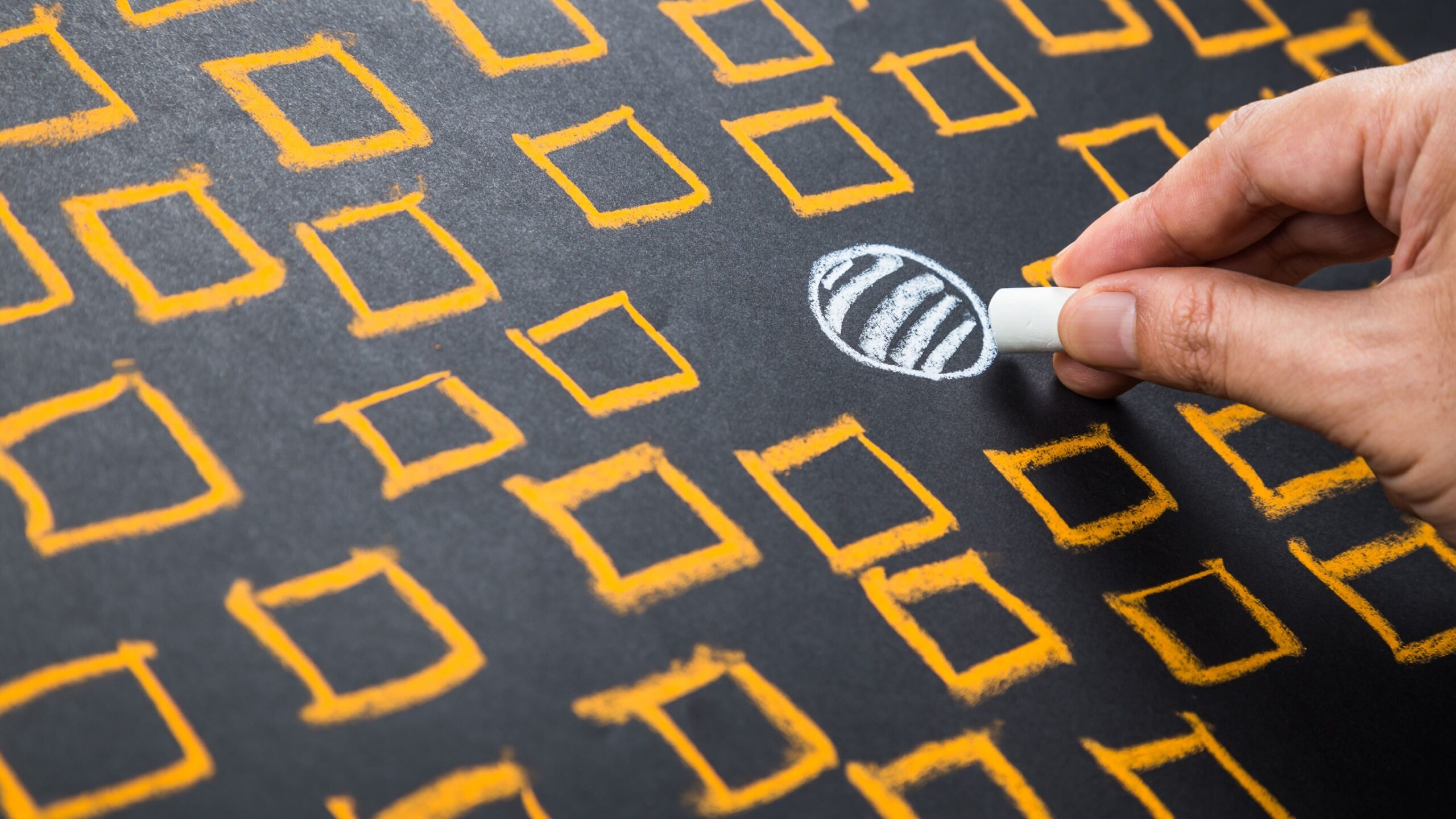 Positionality statements are relevant for all research | Wonkhe