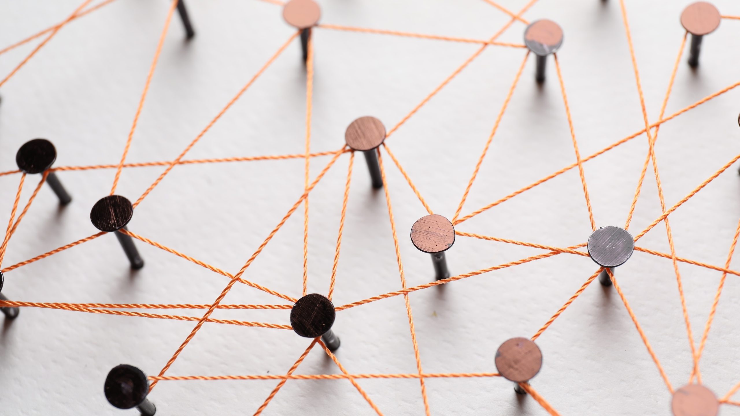 Programme coherence is everyone’s responsibility opportunity from Wonkhe Com Opportunities