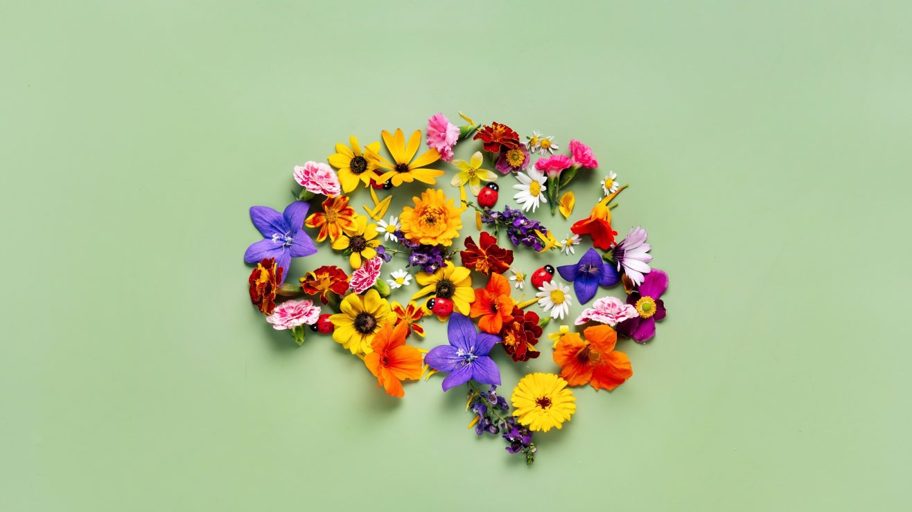 shutterstock_2207416029