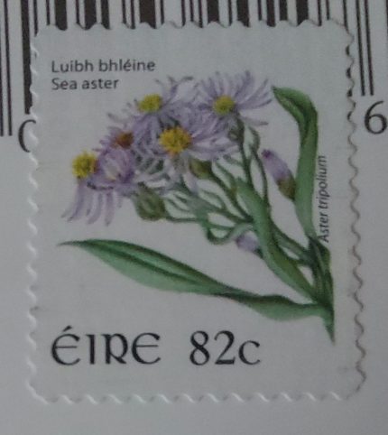 Image of an Irish stamp from 2008